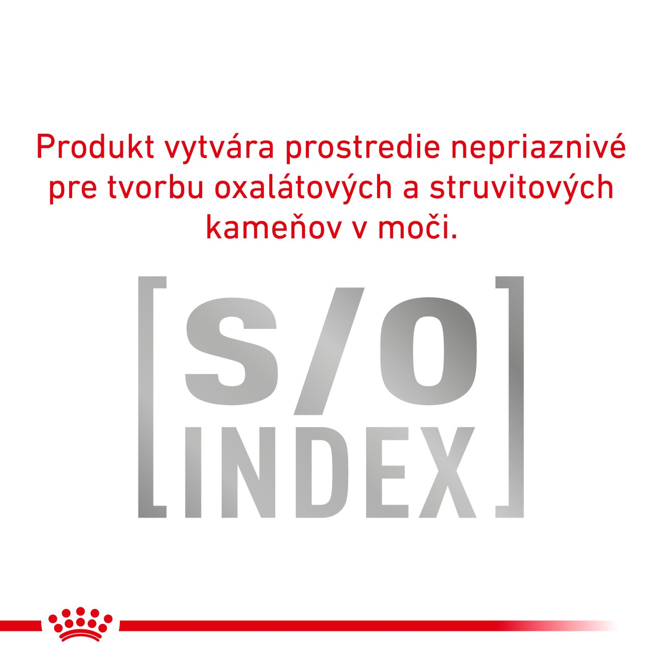 VHN Dog Sensitivity Control Chicken with Rice Konzerva