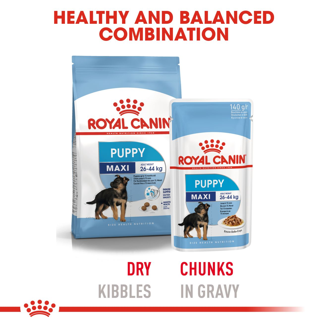 royal canin maxi puppy