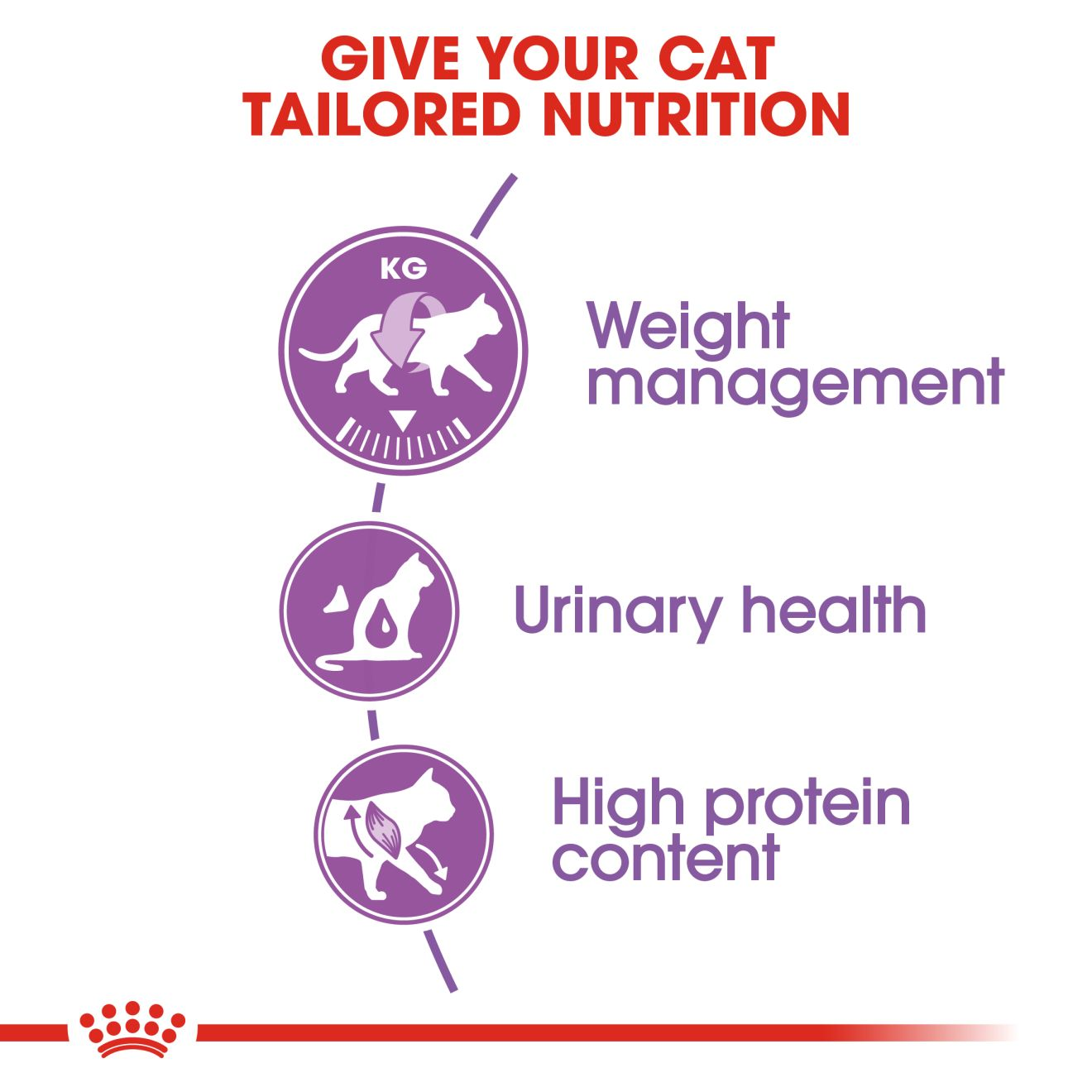Sterilised 37 | Royal Canin IN