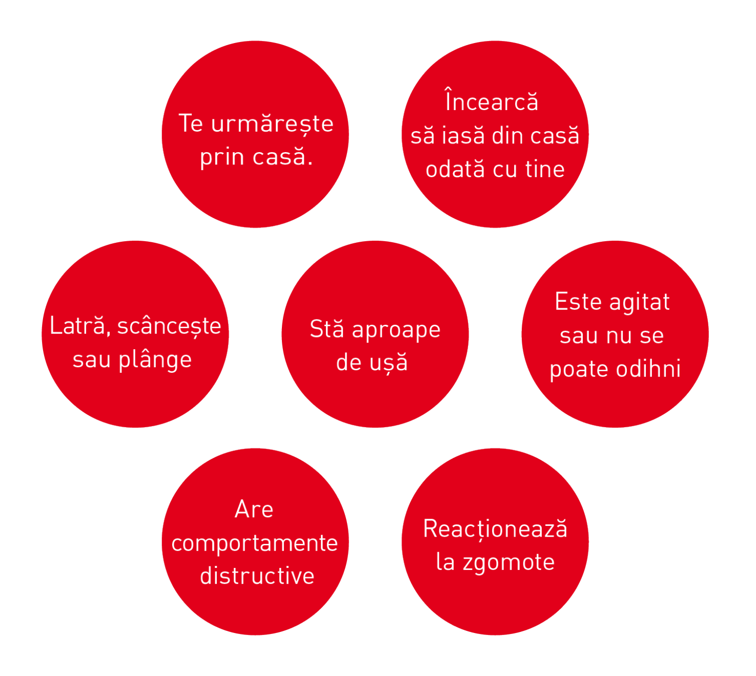 Typical signs of separation anxiety in dogs illustration