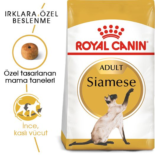 Siamese Adult Yetişkin Kedi Kuru Maması