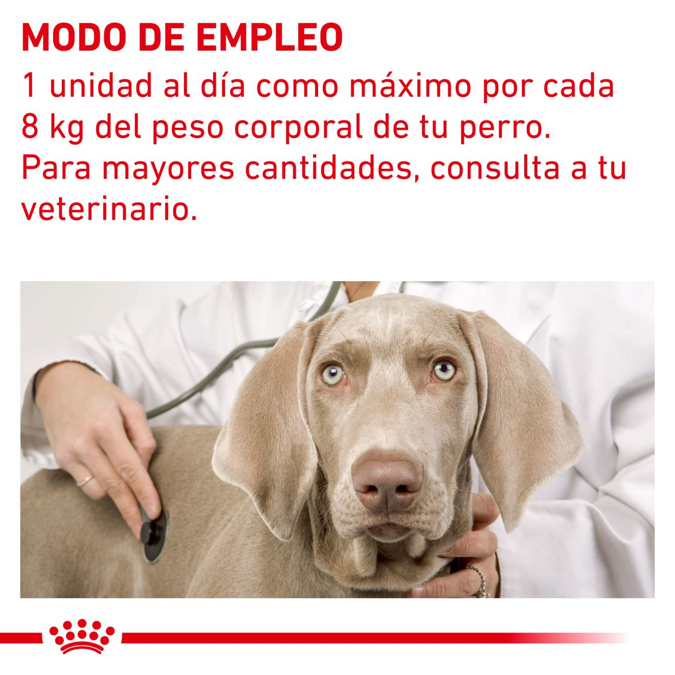Pill Assist Medium/Large Dog