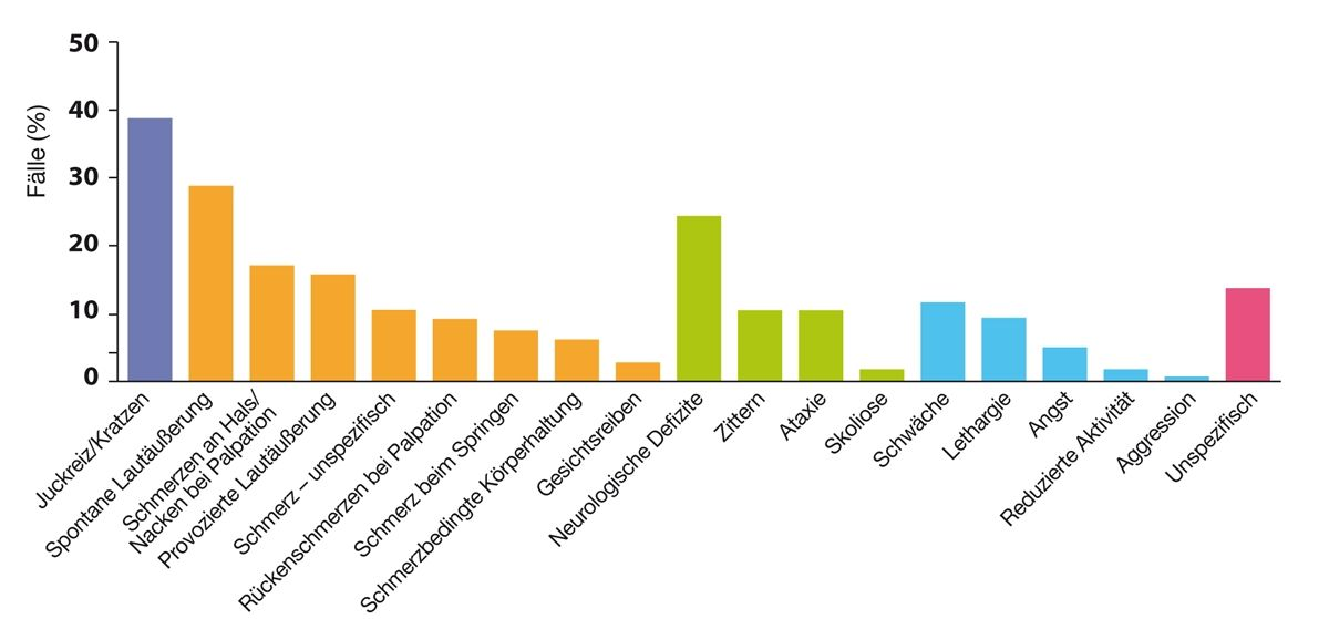 Diagramm der bei Hunden mit symptomatischer CM/SM in erstversorgenden tierärztlichen Praxen beschriebenen klinischen Symptome, kategorisiert nach Haupttypen: Juckreiz/Kratzen (violett), Schmerz (orange), neurologische Symptome (grün), Verhaltensänderungen (blau) und unspezifisch (rosa).