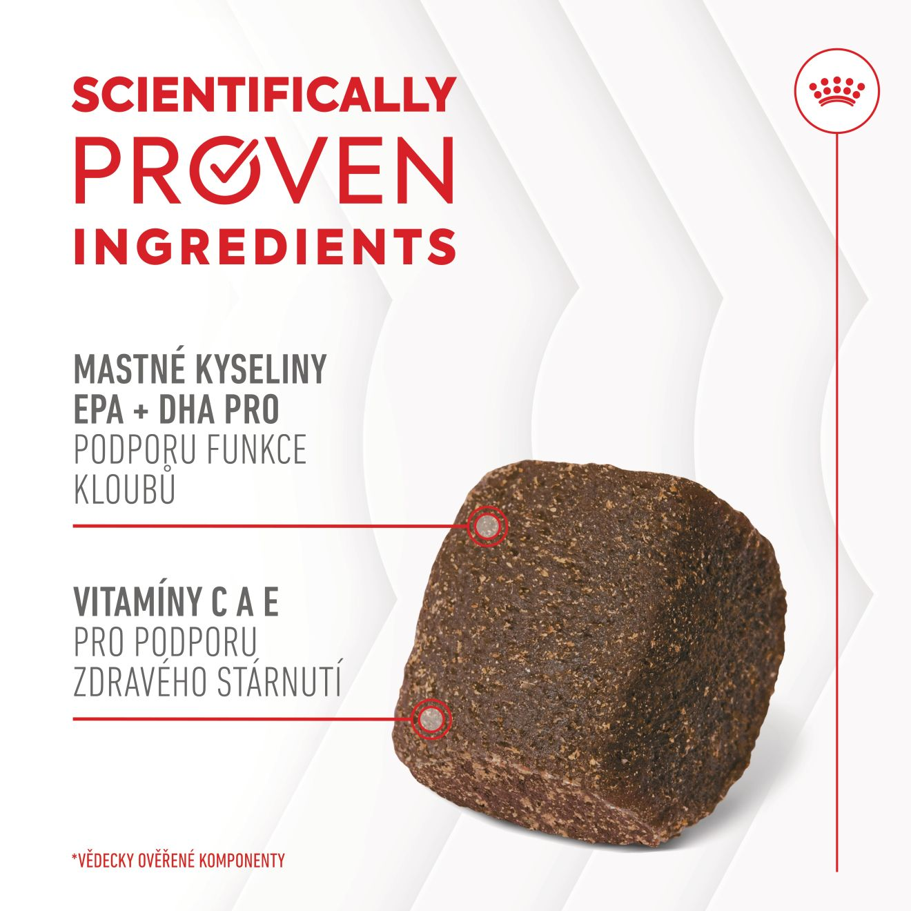  Supplement Dog Joint & ageing chews