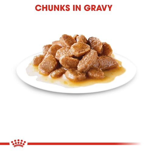 Mini Ageing 12+ Chunks In Gravy