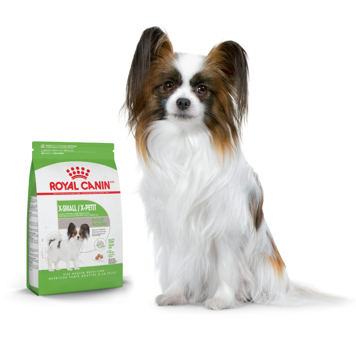 Royal canin outlet petit puppy