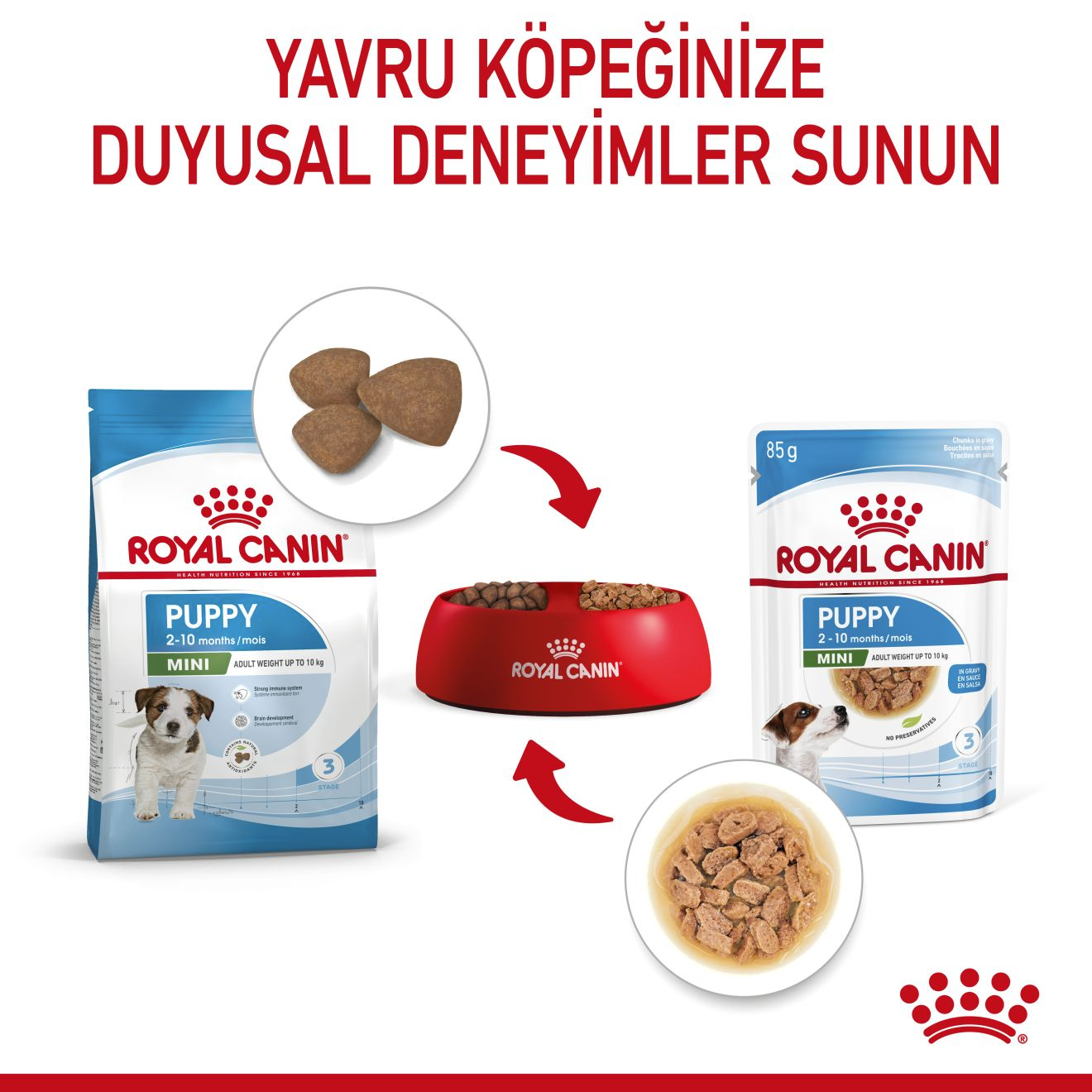 Mini Puppy Yavru Köpek Yaş Maması
