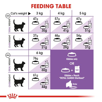 Royal canin hot sale serving guide