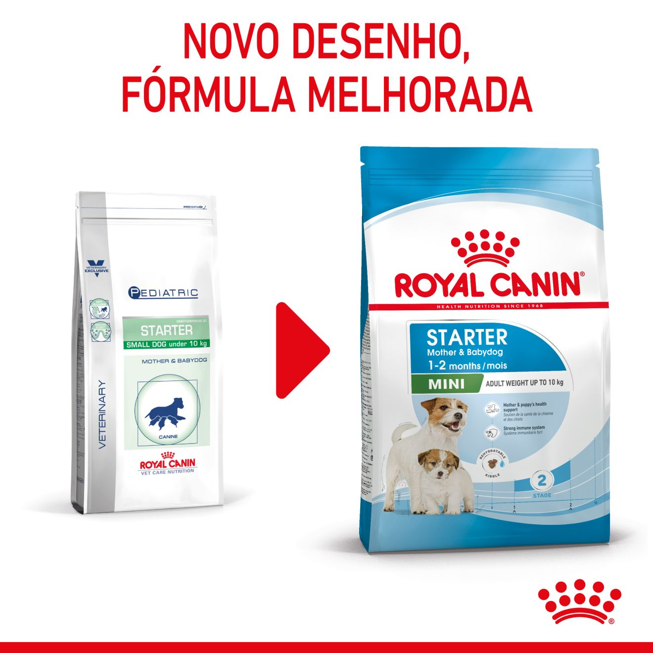STARTER Mother & Babydog - MINI