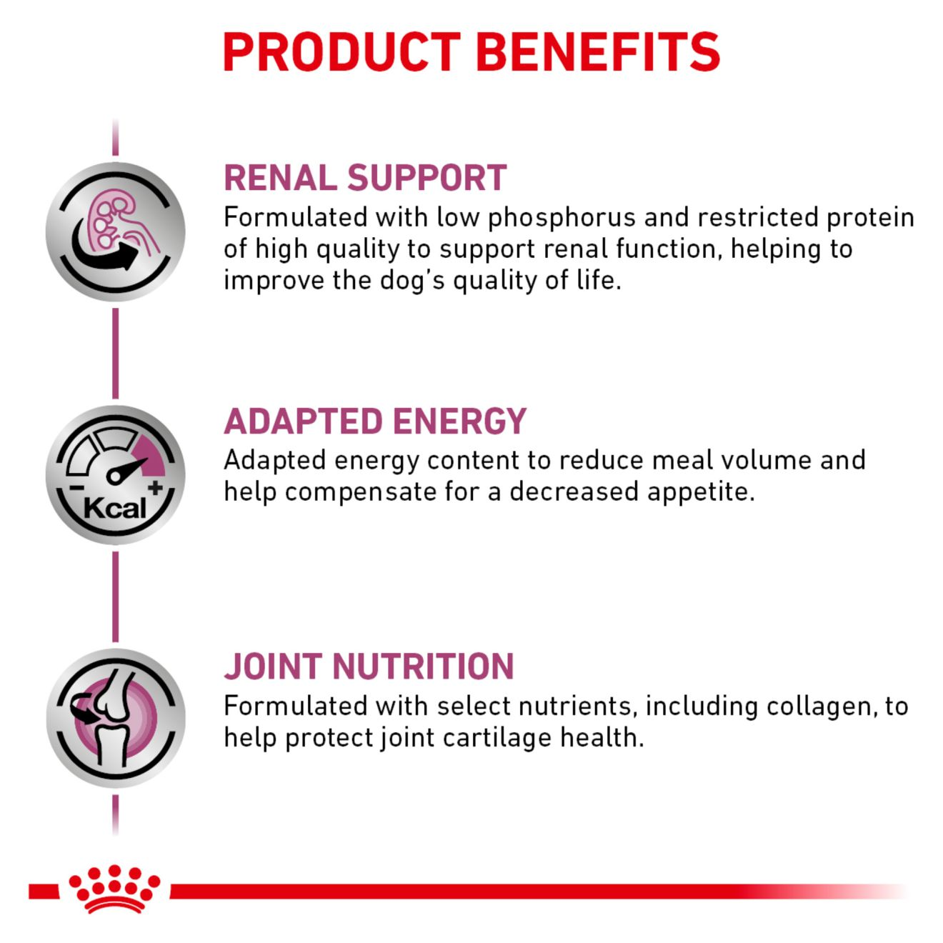 Canine Renal Support + Advanced Mobility Support thin slices in gravy