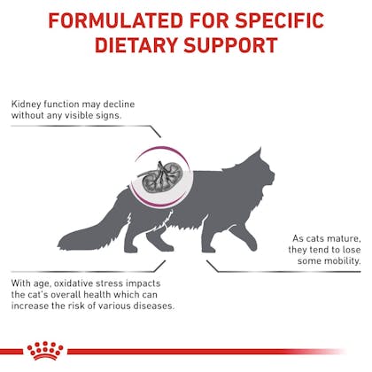 RC-VET-DRY-CatEarlyRenal-Eretailkit-B1-CV-2