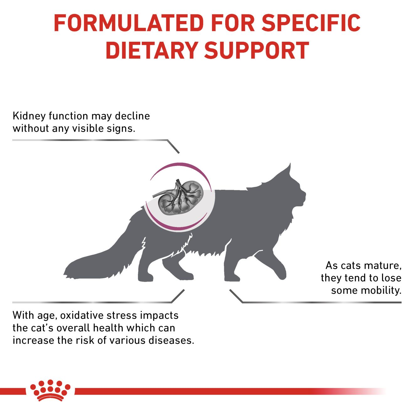 Royal Canin Dry Early Renal