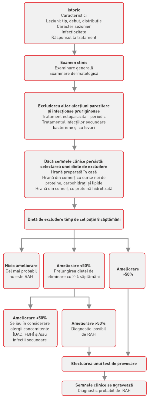 O schemă sinoptică a diagnosticului diferențial de RAH.