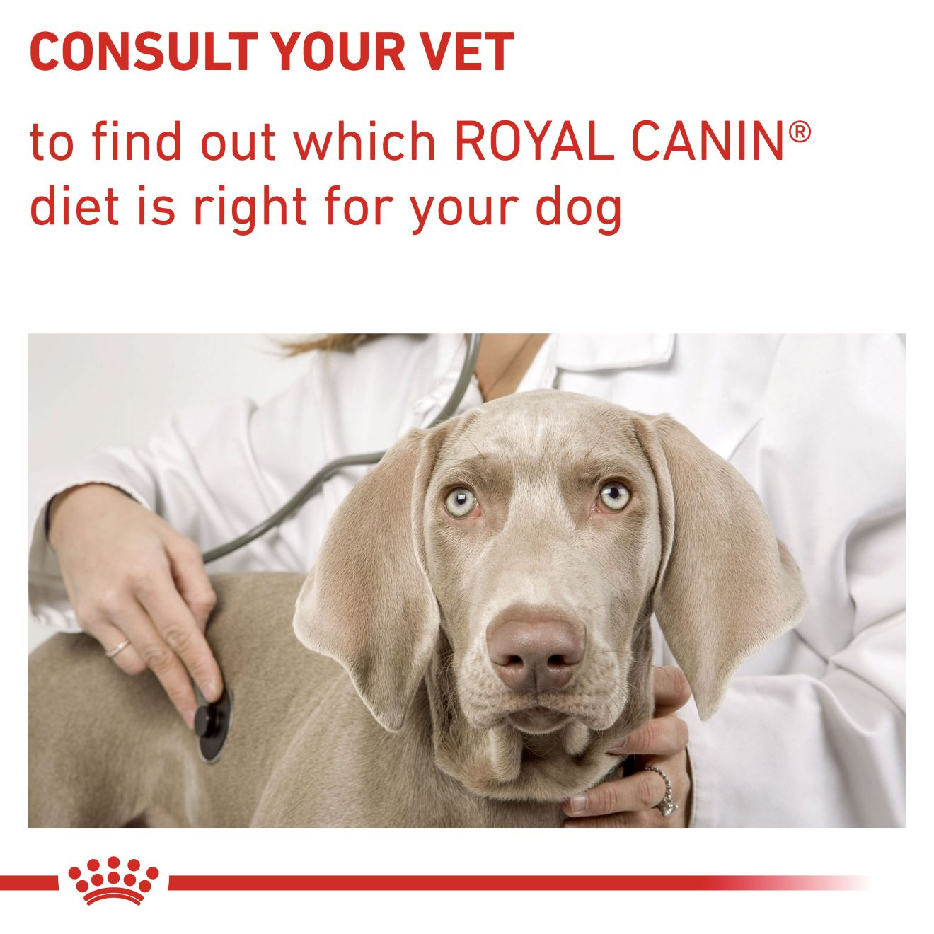 Royal canin shop calm diet