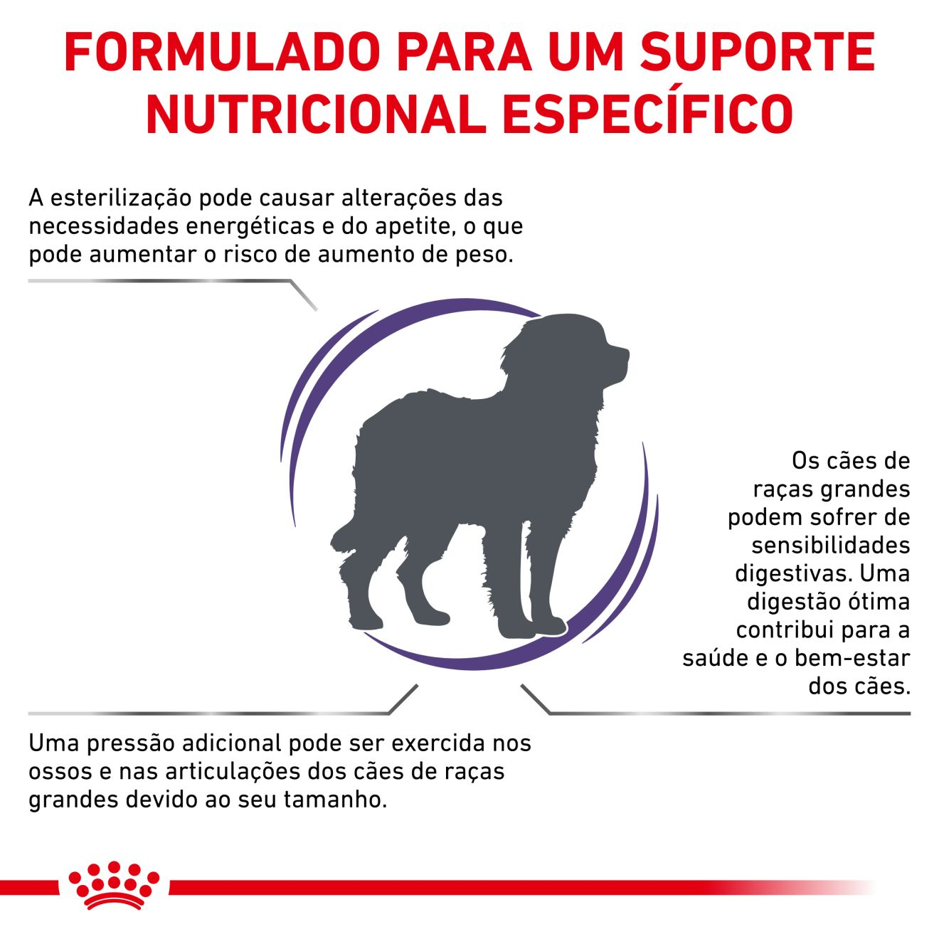 Neutered Adult Large Dog