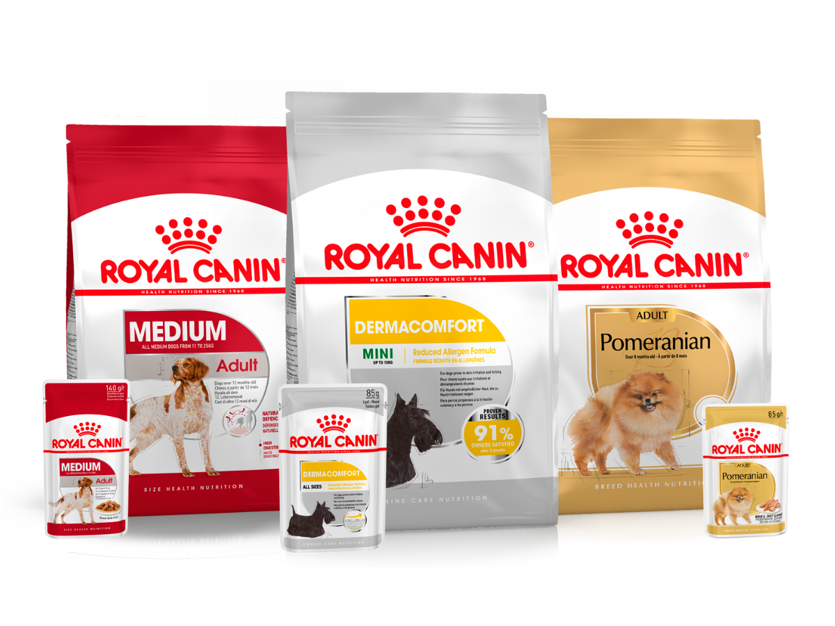 Croquettes et pâtés pour chien Royal Canin