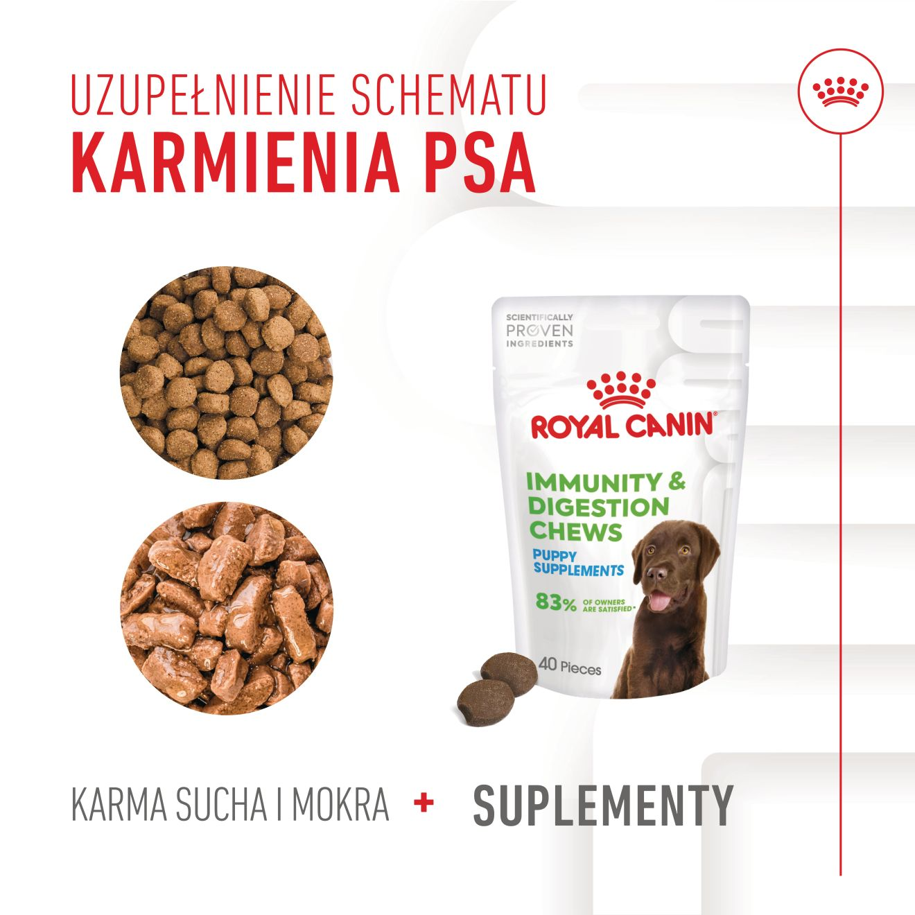 Supplements Dog Immunity & Digestion Puppy