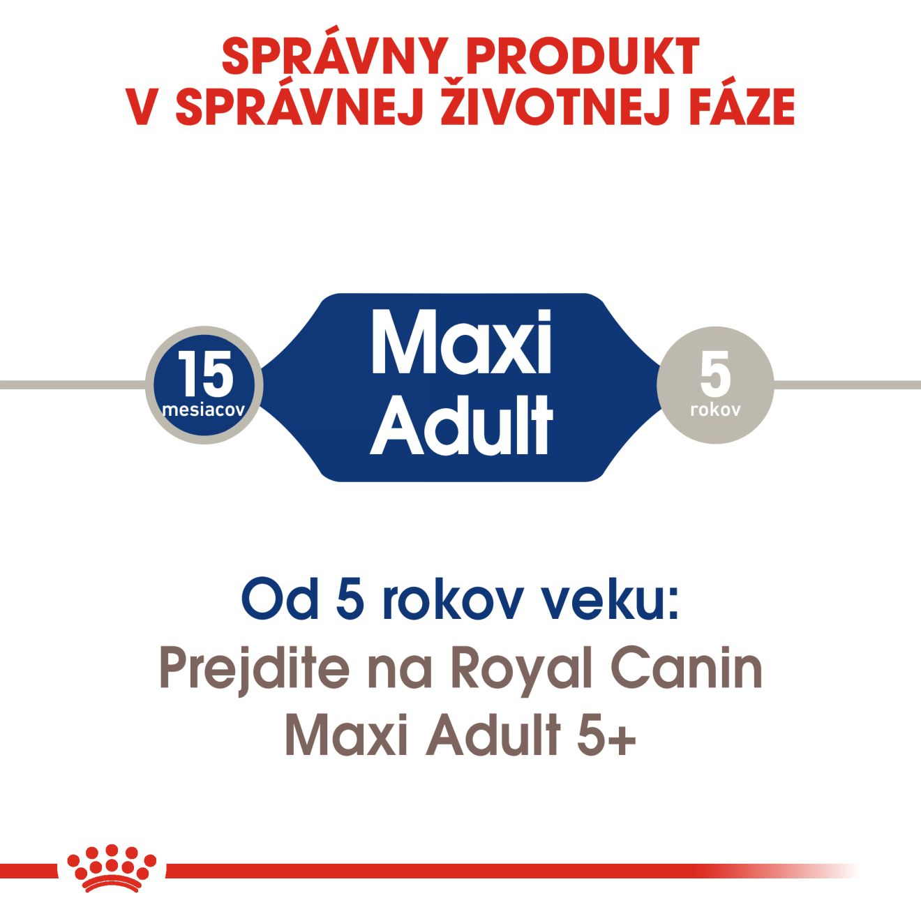 ROYAL CANIN Maxi Adult granule pre dospelých psov veľkých plemien