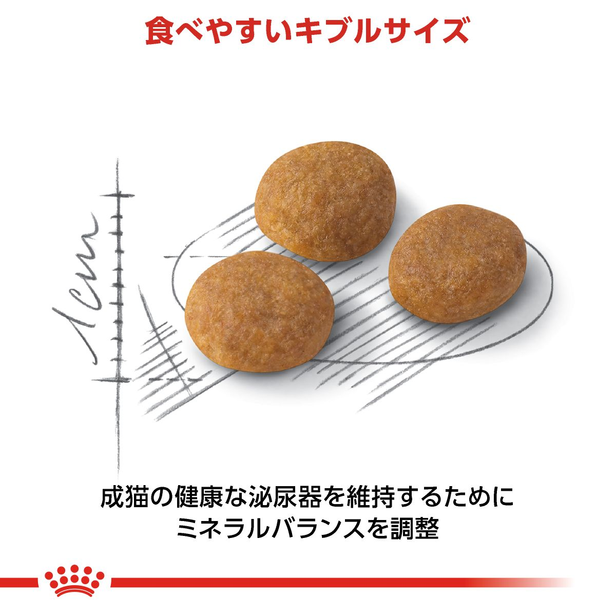 アロマエクシジェント（成猫用 ドライ） | Royal Canin JP