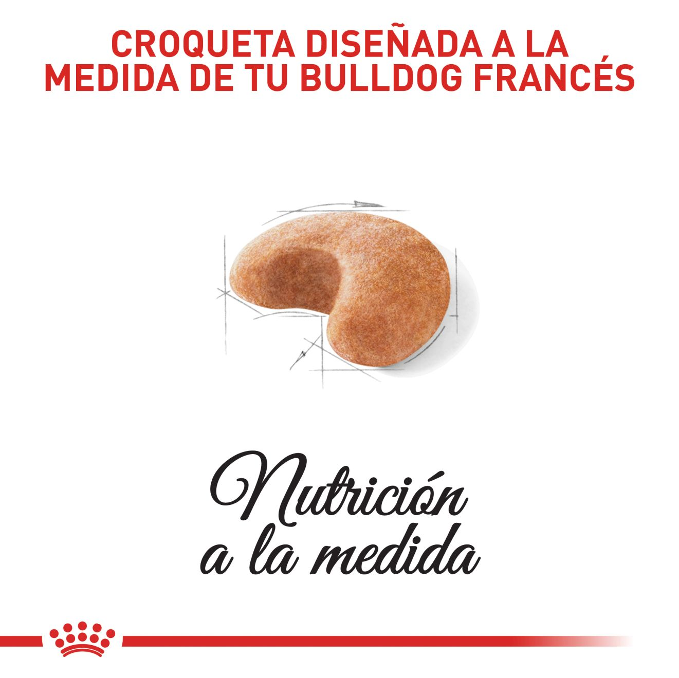 Bulldog Francés Adulto