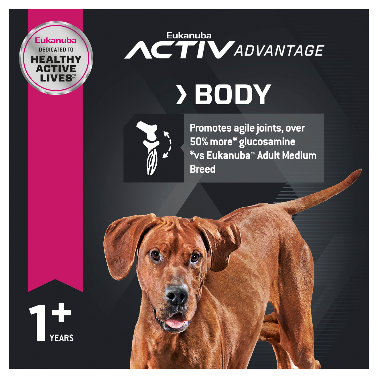 Eukanuba active best sale adult large breed