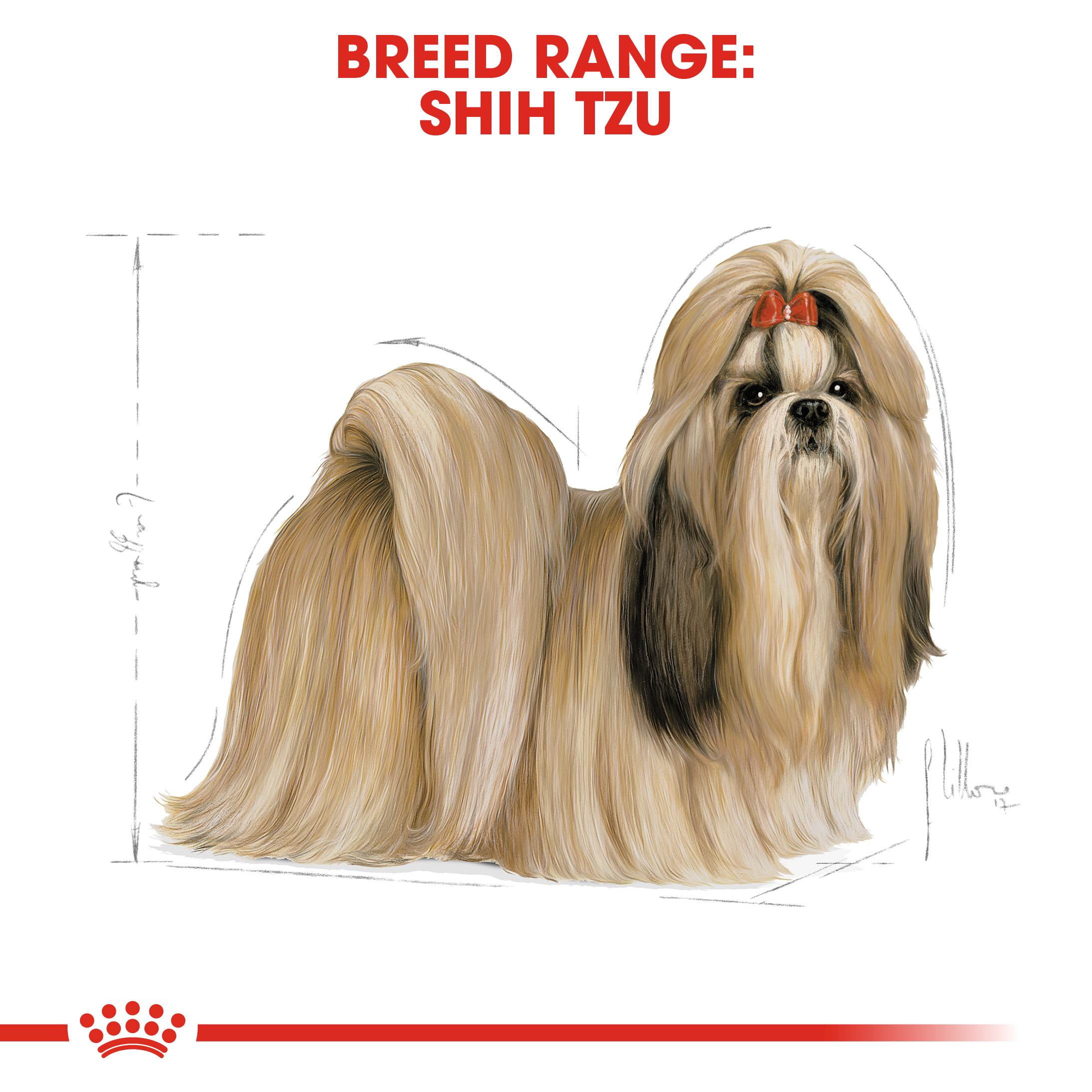 Shih Tzu Adult Kering Royal Canin