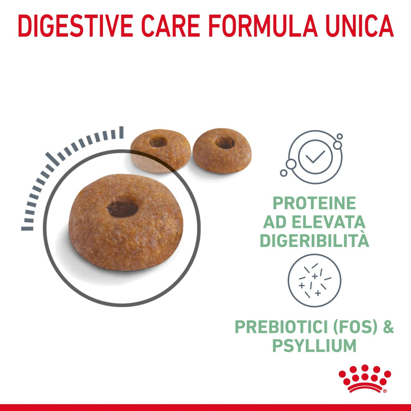 Digestive Care