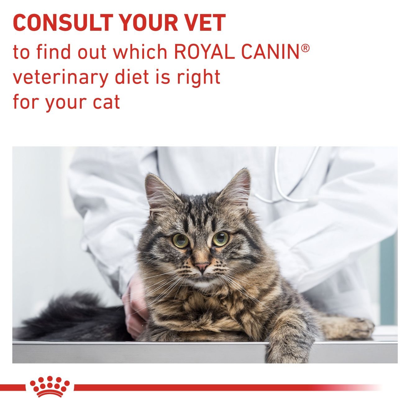 Royal canin hot sale veterinary consult