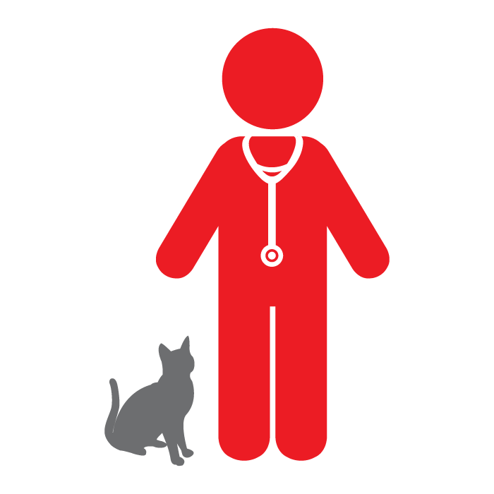 Icon Katze beim Tierarzt