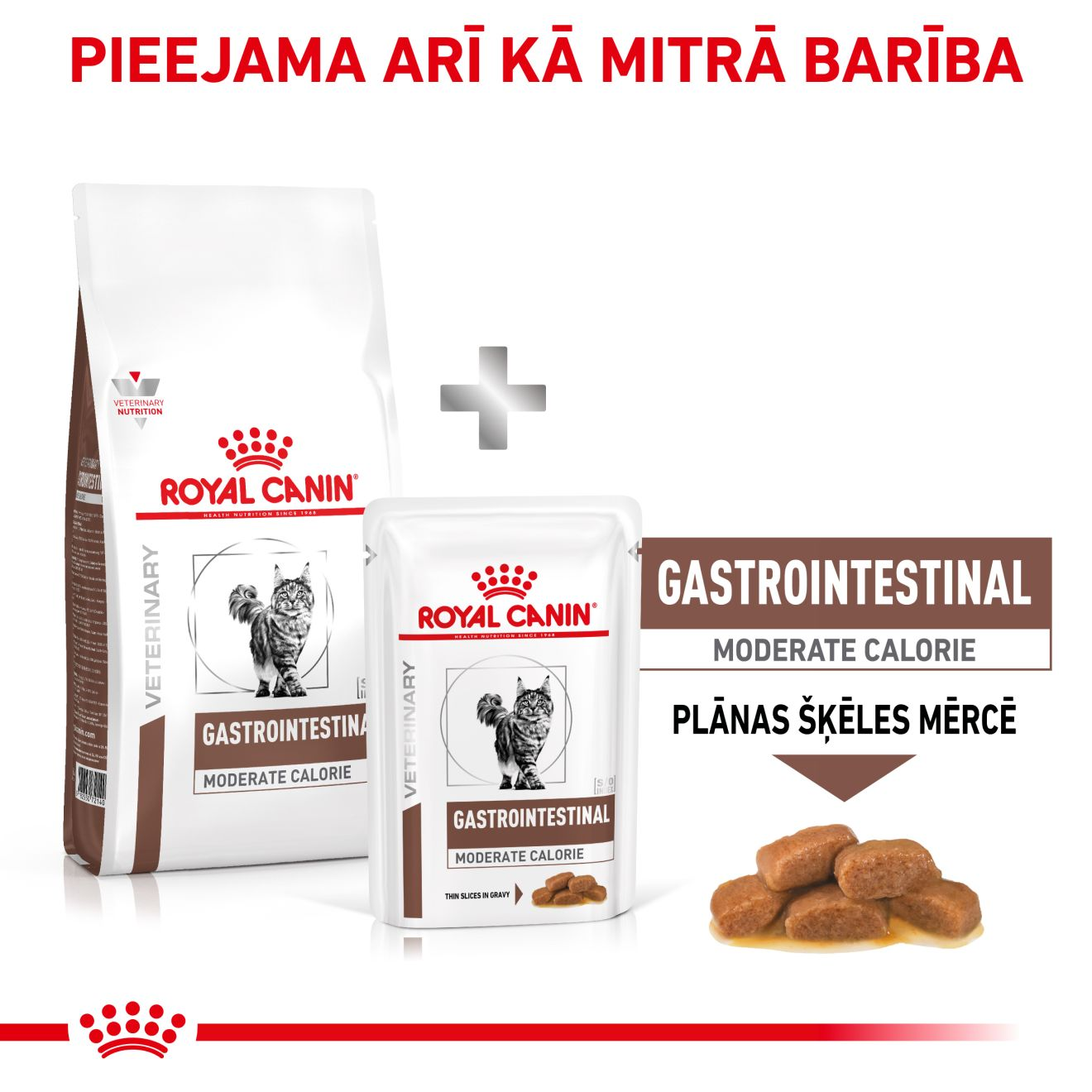 Gastrointestinal Moderate Calorie