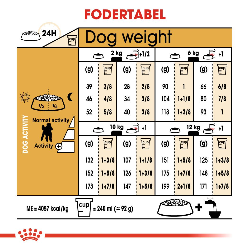 Poodle Adult