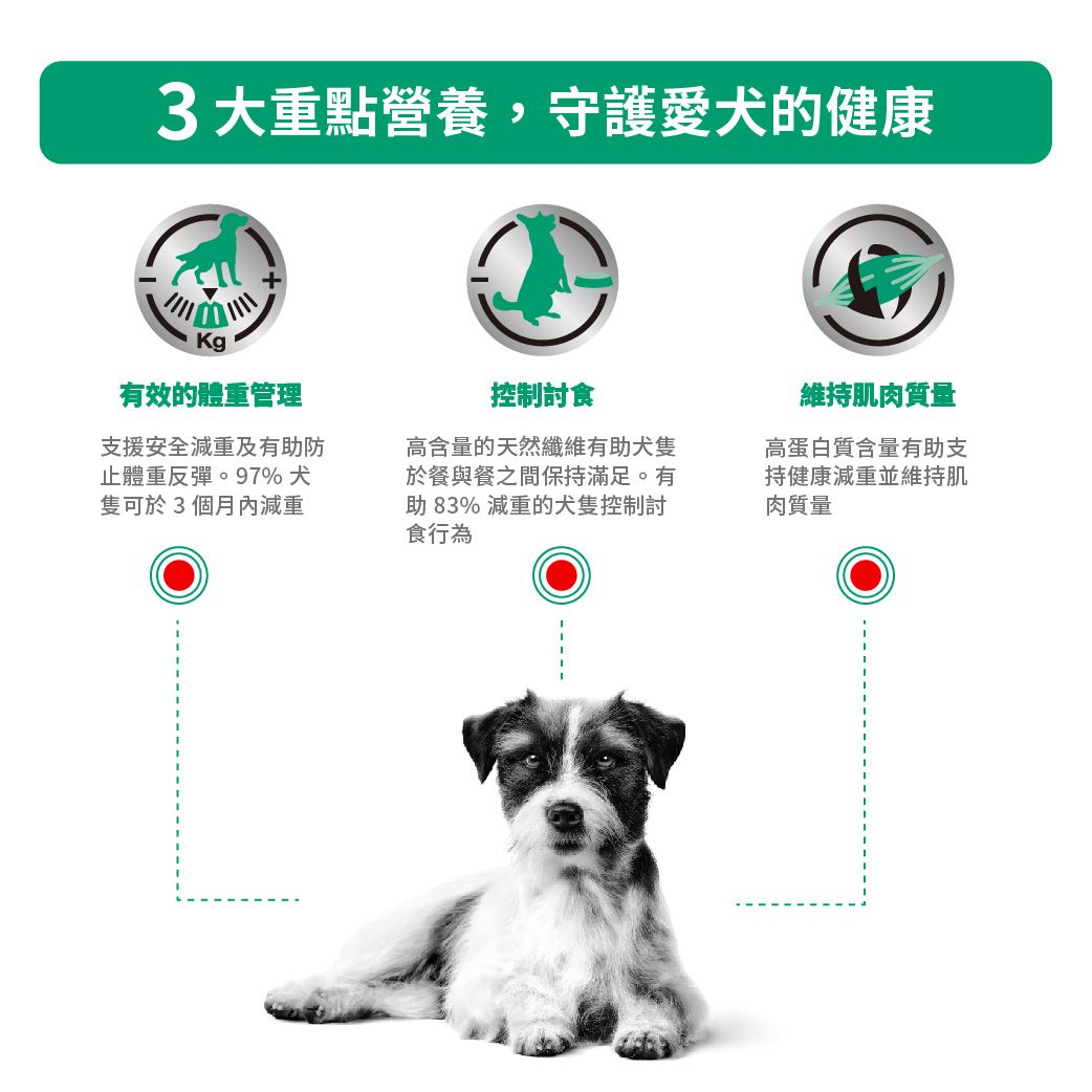 小型犬飽足感處方