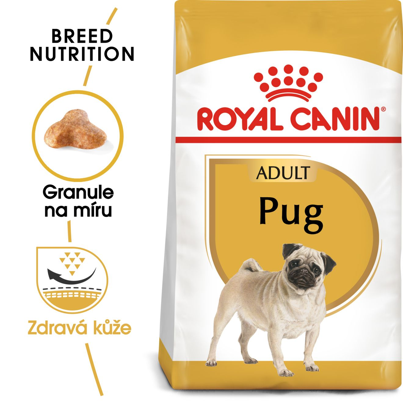 PUG Adult
