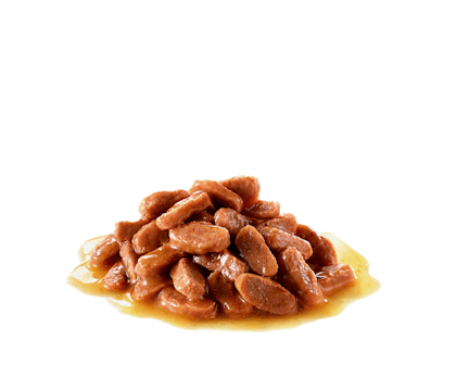 KITTEN-GRAVY-FHNW17