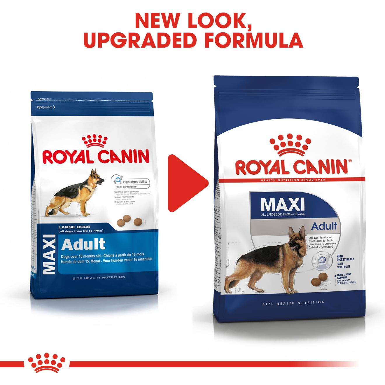 Maxi Adult  Royal Canin IN