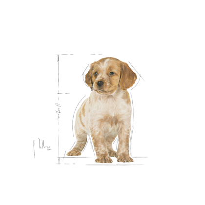 ME-PU-ILLUSTR-FACING-SHN17