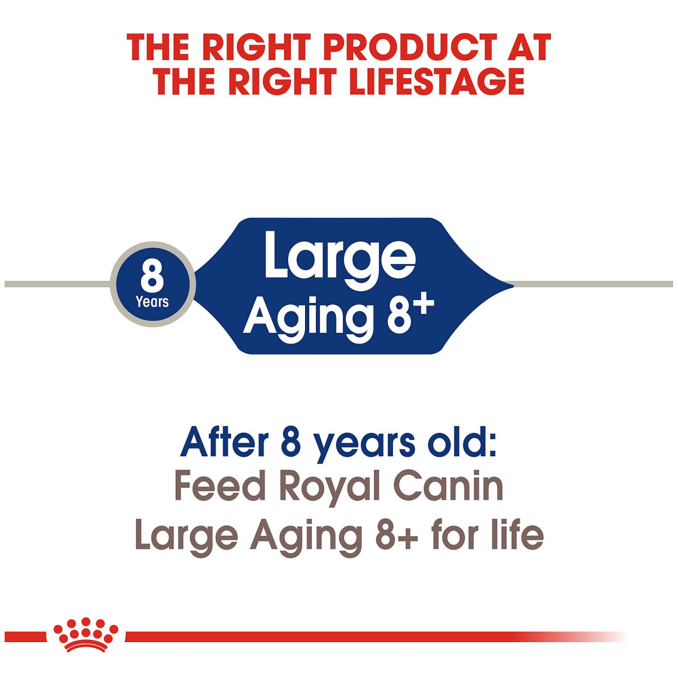 Large Aging 8+ Dry 