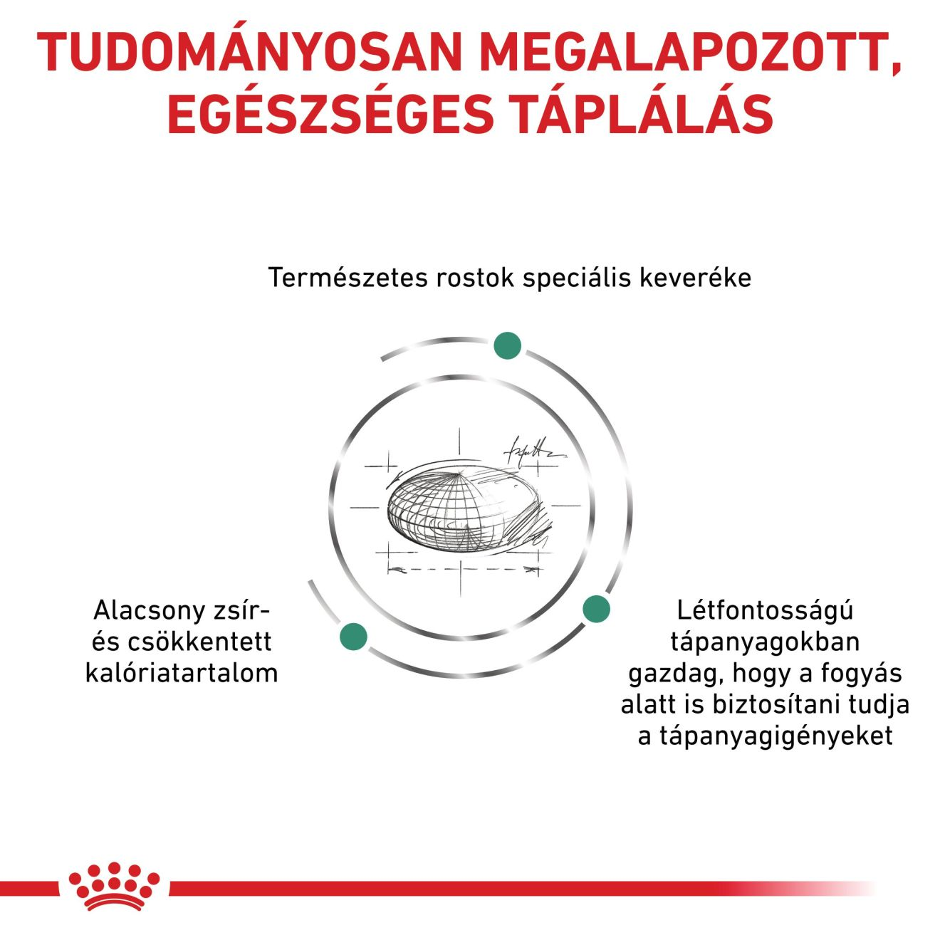 Satiety Weight Management