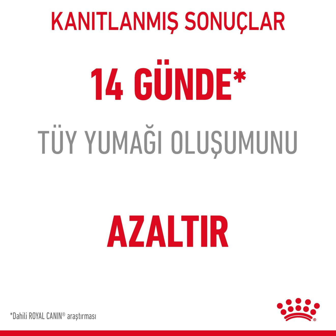 Hairball Care Yetişkin Kedi Kuru Maması