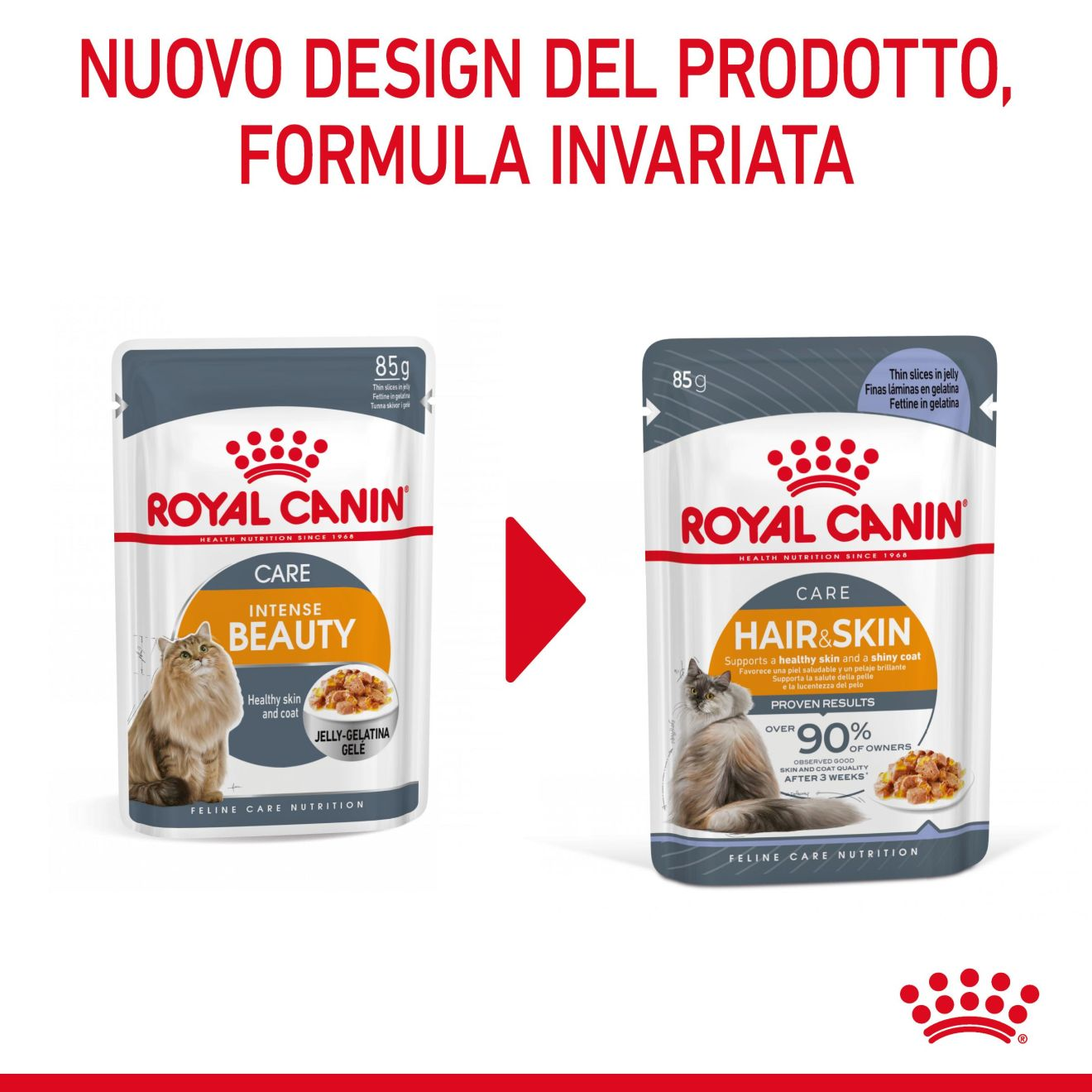 Hair & Skin in gelatina