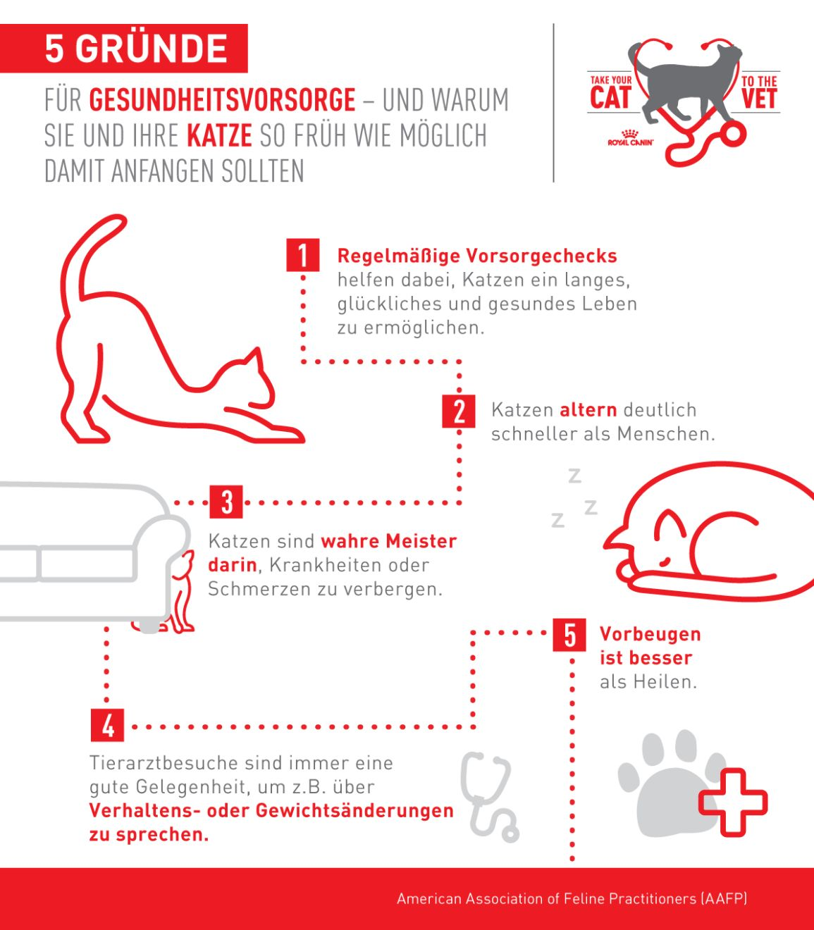 Fünf Gründe für Gesundheitsvorsorge bei Katzen