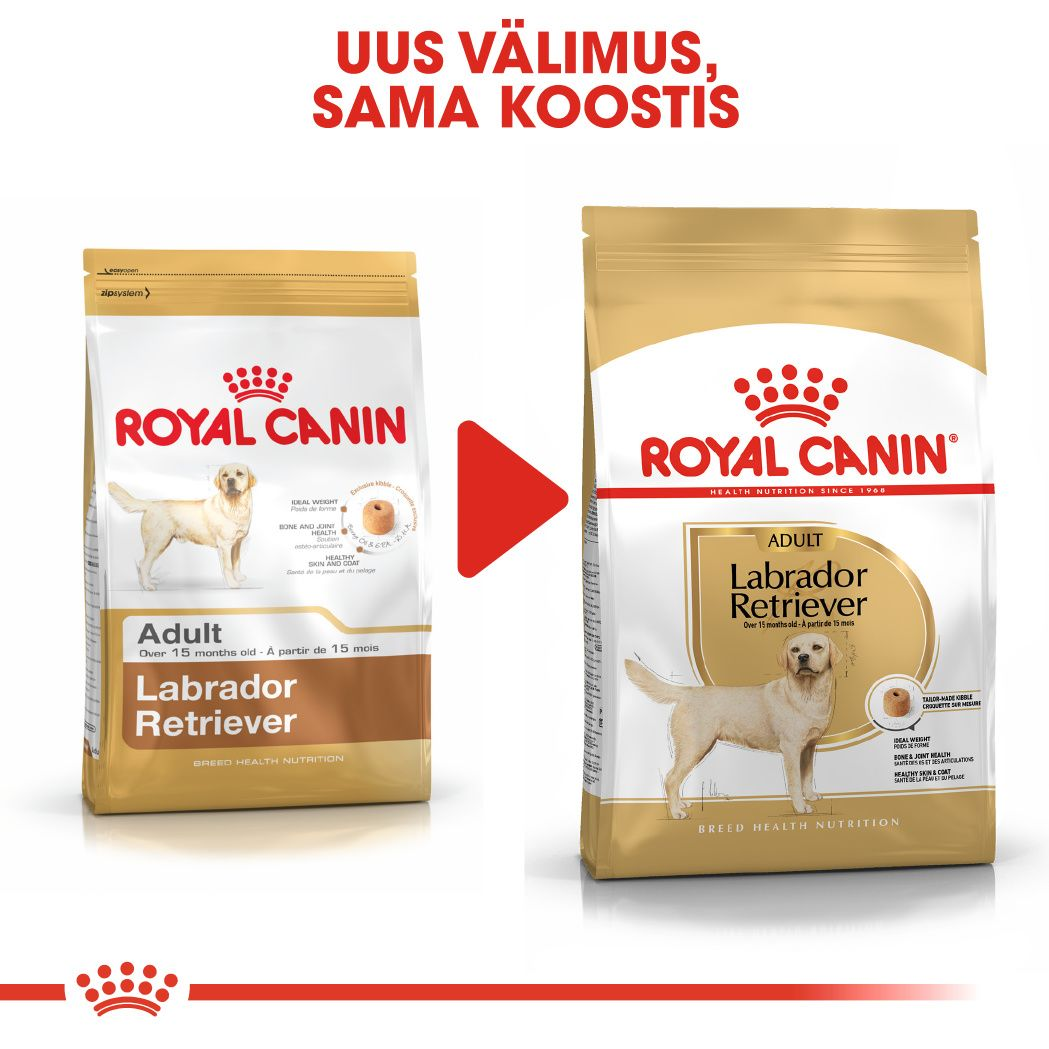 Royal Canin Labrador Retriever Adult kuivtoit