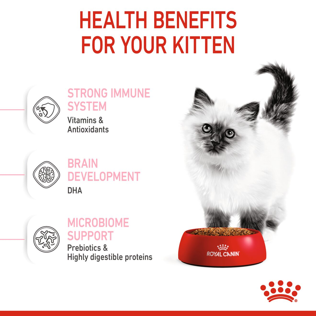 Kitten Dry Cat Food Royal Canin US