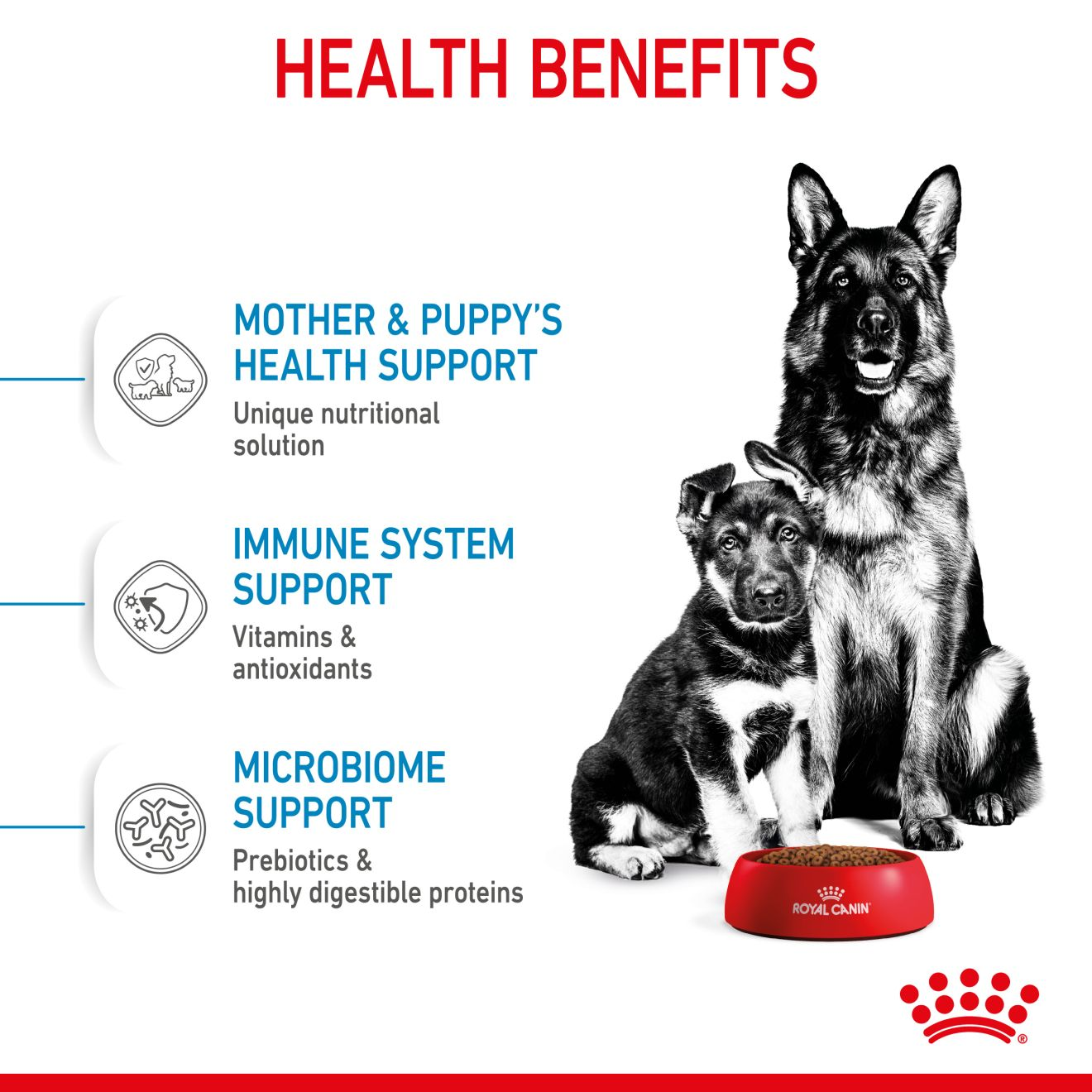 Royal canin clearance support