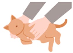 724_Japan_local_BPO SoL Touching a cat