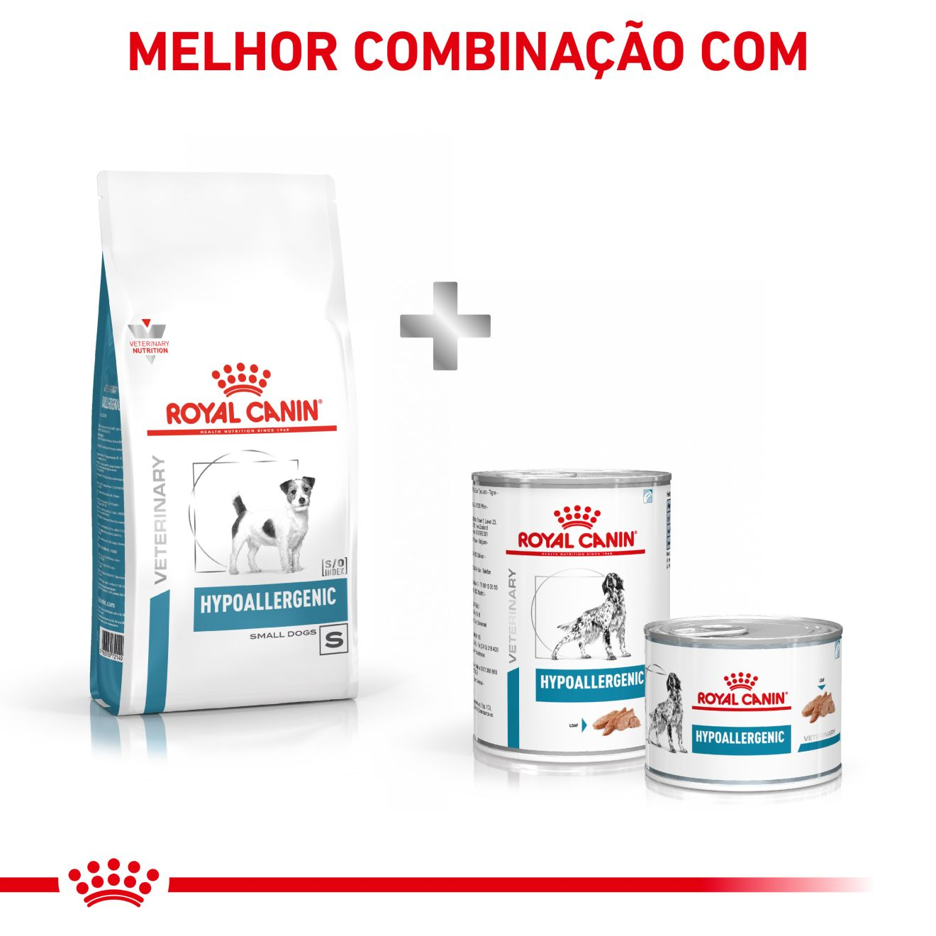 Dog Hypoallergenic Small Dog