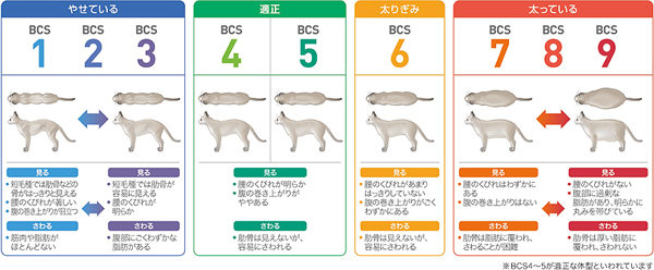 ロイヤルカナンに関する、よくあるご質問 - ロイヤルカナン