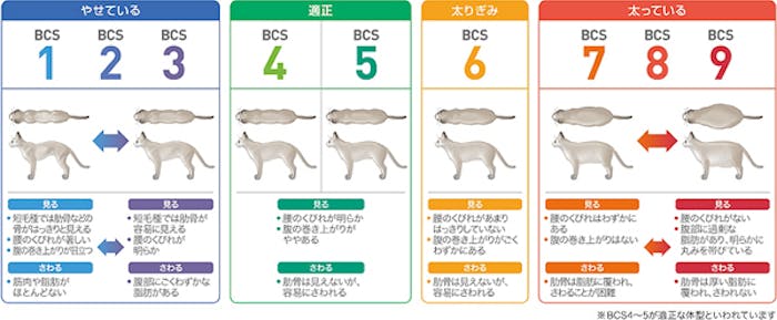 よくある質問 ロイヤルカナン