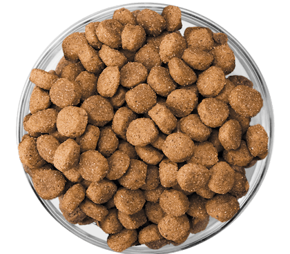 Eukanuba - Kibble Bowl Puppy Medium & Large Breed