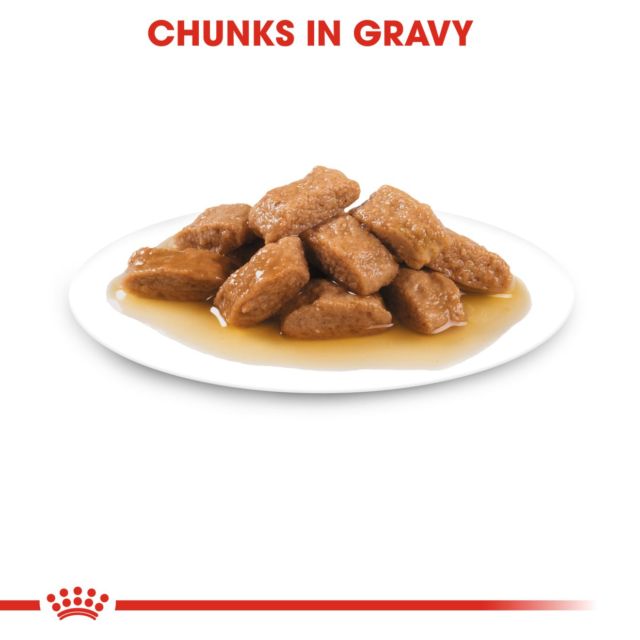 Medium Ageing 10+ Chunks In Gravy